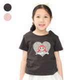 ダディコ刺繍Ｔシャツ | こどもの森e-shop | 詳細画像1 