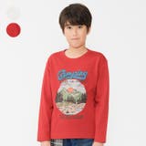日本製 アウトドア柄プリントTシャツ 140cm~160cm V52817 | こどもの森e-shop | 詳細画像1