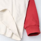 【ネット限定】ラグランＴシャツ・ロンT | こどもの森e-shop | 詳細画像8 