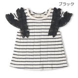 ブラック | リブ半袖Tシャツ | こどもの森e-shop