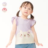 ねこ・うさぎ切替半袖Ｔシャツ | こどもの森e-shop | 詳細画像1 