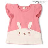 アプリコット | ねこ・うさぎ切替半袖Ｔシャツ | こどもの森e-shop