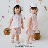 ねこ・うさぎデザイン袖レース半袖Ｔシャツ | こどもの森e-shop | 詳細画像9 
