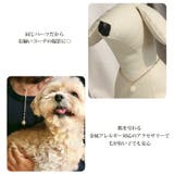 ドックアクセサリー 犬用ネックレス 首輪 | Melody Accessory | 詳細画像5