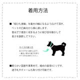 ドックアクセサリー 犬用ネックレス 首輪 | Melody Accessory | 詳細画像8