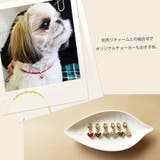 ドックアクセサリー 犬用ネックレス 首輪 | Melody Accessory | 詳細画像7