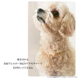 ドックアクセサリー 犬用ネックレス 首輪 | Melody Accessory | 詳細画像2