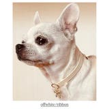 犬用 ネックレス 首輪 | Melody Accessory | 詳細画像7