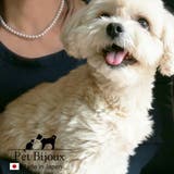 ペットアクセサリー 犬用ネックレス 首輪 | Melody Accessory | 詳細画像9