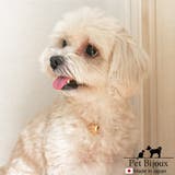 ドックアクセサリー 犬用ネックレス 首輪 | Melody Accessory | 詳細画像4