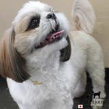 ドッグアクセサリー 犬用 レター | Melody Accessory | 詳細画像3