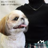 ドッグアクセサリー 犬用 レター | Melody Accessory | 詳細画像5