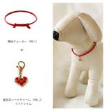 ペットアクセサリー ハート 犬用ネックレス | Melody　Accessory | 詳細画像8 