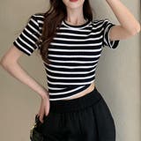 ブラック | リブ編みニットレディースボーダーTシャツ | Miniministore