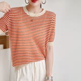 オレンジ | ボーダー柄サマーニットトップス 半袖春夏 | Miniministore