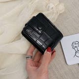 ブラック(クロコ型押し) | レディース 口紅ケース ミラー付き | Miniministore