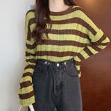 リーフグリーン*ブラウン | ニットトップス ボーダー柄 リブニット | SUNSHINE CLOSET