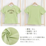 ショート丈トップス レディース へそ出し | Miniministore | 詳細画像3 