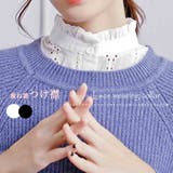 ホワイト | つけ襟 レディース 重ね着 | Miniministore