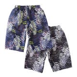 水着 子供 男の子 | 水着ショップ アクアフェアリー【KIDS】 | 詳細画像3 