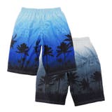 水着 子供 男の子 | 水着ショップ アクアフェアリー【KIDS】 | 詳細画像3 