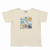 子供服 男の子 Tシャツ | UnDeuxCarjo | 詳細画像2 