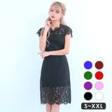ブラック | 総レースタイトシルエットミニドレス エレガントドレス フレンチスリーブ | my minette