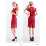 総レースタイトシルエットミニドレス エレガントドレス フレンチスリーブ | my minette | 詳細画像13 