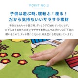 洗えるラグ トミカ プラレール好きに | MY ROOM’S | 詳細画像8