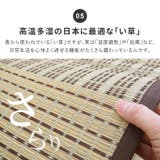 い草ラグ 厚手 コンパクト | MY ROOM’S | 詳細画像8