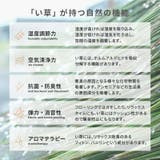 い草ラグ 厚手 コンパクト | MY ROOM’S | 詳細画像9