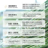 い草ラグ アステカ 約180cm丸 | MY ROOM’S | 詳細画像8