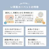 ビニール風 上敷き 四条 | MY ROOM’S | 詳細画像7