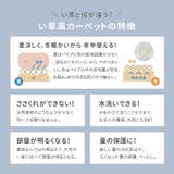 ビニール風 上敷き 四条 | MY ROOM’S | 詳細画像7