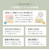 ラグ ビニール風 上敷き | MY ROOM’S | 詳細画像7 