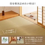 国産 い草カーペット 柄上敷き | MY ROOM’S | 詳細画像13