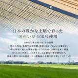 国産 い草カーペット 柄上敷き | MY ROOM’S | 詳細画像3