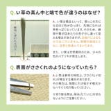 国産 い草カーペット 柄上敷き | MY ROOM’S | 詳細画像19