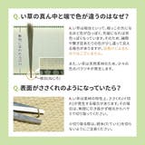 い草ラグ アステカ 約180cm丸 | MY ROOM’S | 詳細画像15