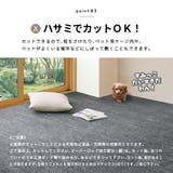 敷き詰めカーペット ラウム 約286×382cm6帖 | MY ROOM’S | 詳細画像6 