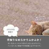 カーペット ペット 敷き詰め | MY ROOM’S | 詳細画像11
