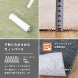 カーペット ペット 敷き詰め | MY ROOM’S | 詳細画像12