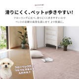 カーペット ペット 敷き詰め | MY ROOM’S | 詳細画像4