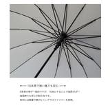 傘 長傘 雨傘 | Festinalente | 詳細画像4 