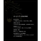 フォーマルバッグ ホースヘアー レディース | Festinalente | 詳細画像6 