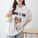 オフ | メガネ犬半袖T | NICE CLAUP / OLIVE des OLIVE OUTLET