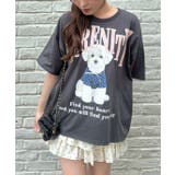 ちびリボン犬ビッグT | RMAF　NICE CLAUP / OLIVE des OLIVE | 詳細画像31 