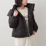 ブラック | フード中綿ジャケット | NICE CLAUP / OLIVE des OLIVE　OUTLET