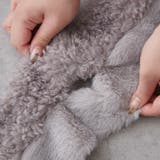プードルコンビティペット | RMAF NICE CLAUP / OLIVE des OLIVE | 詳細画像9