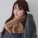 モカ | プードルコンビティペット | RMAF NICE CLAUP / OLIVE des OLIVE